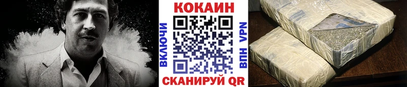 COCAIN Fish Scale  цена   Дыгулыбгей 