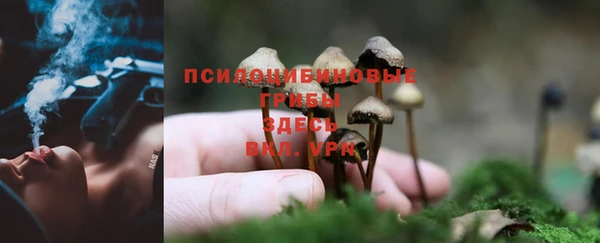 кокс Медвежьегорск