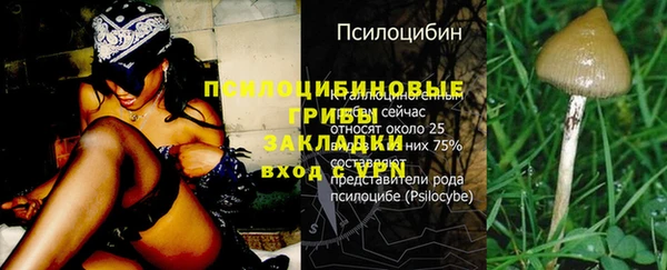 кокс Медвежьегорск
