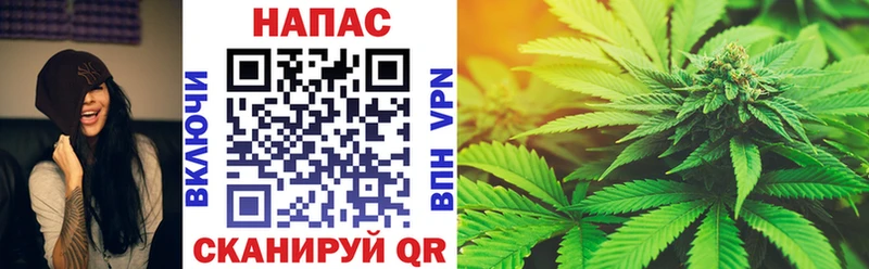 Конопля план  Дыгулыбгей 